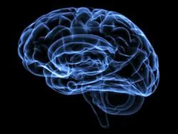 Στους μελετητές του GPS του ανθρώπινου εγκεφάλου το Νόμπελ Ιατρικής
