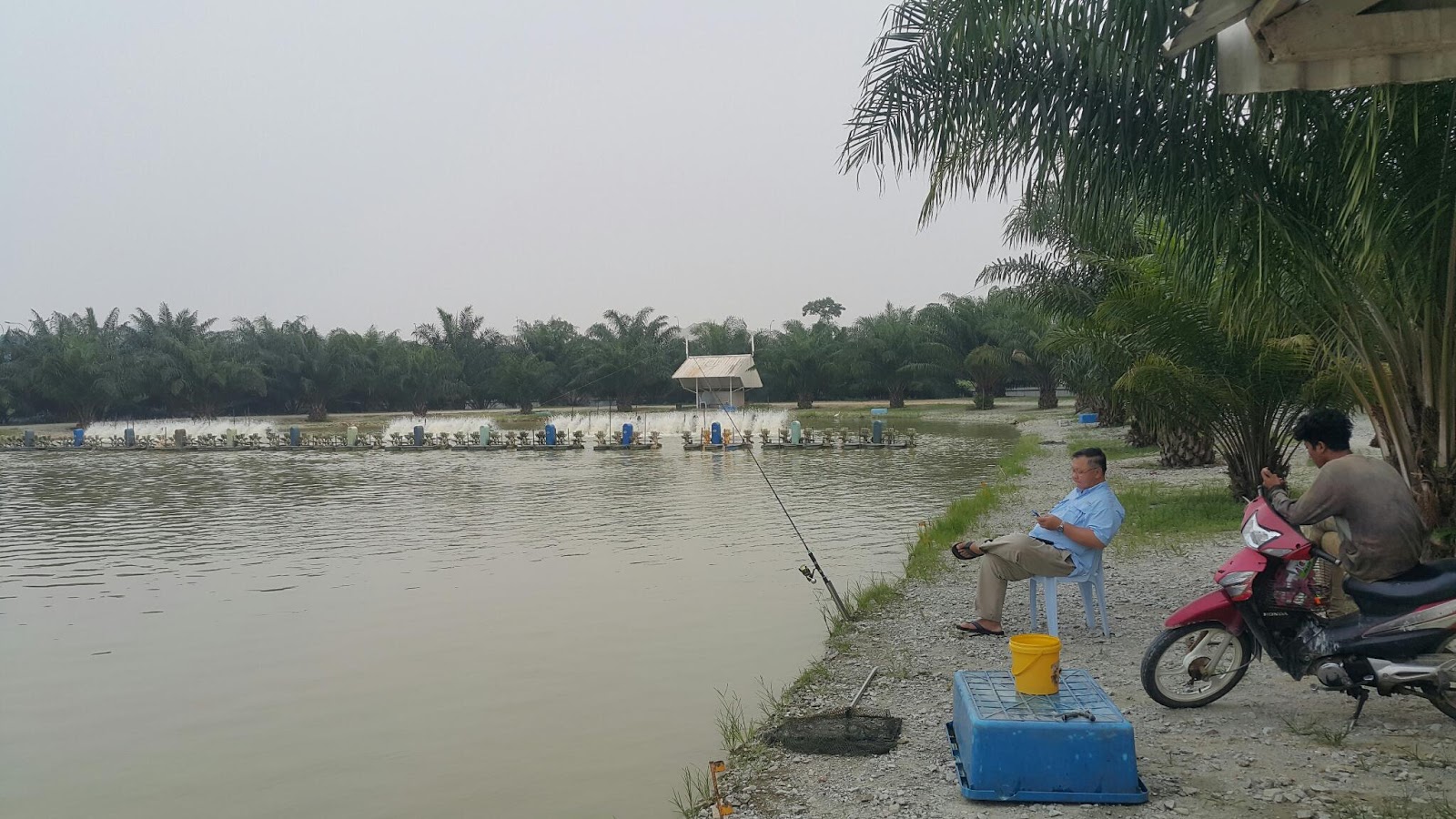Uji Umpan di Natural Exotic Fishing Pond(Rawang)  Umpan 