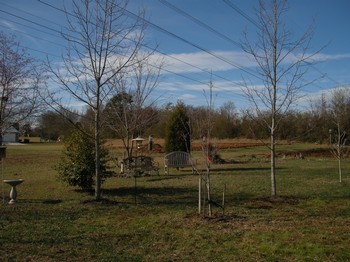 Nikon Coolpix S700