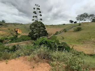 Itiruçu: Nascente do Beija-flor sendo ameaçada de secar