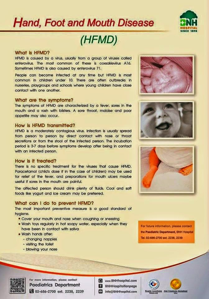 ADORABLE LIFE ZONE: Penyakit Tangan Kaki dan Mulut (HFMD 