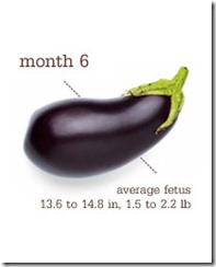 week 27 eggplant