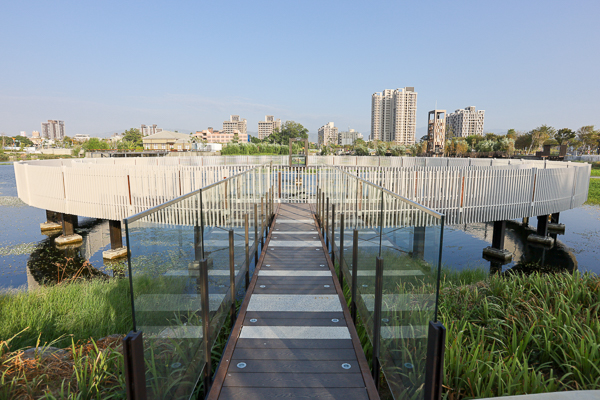 台中湧泉公園星泉湖賞愛心水草和水鳥，文明之基和滿月指輪好好拍