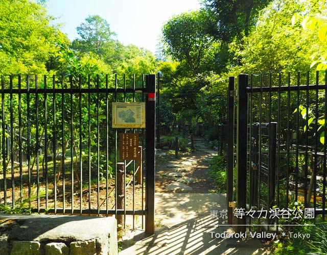 等々力渓谷公園の日本庭園