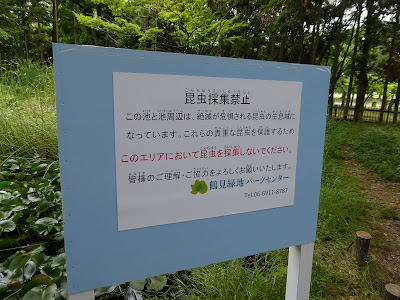 花博記念公園鶴見緑地『花の谷』昆虫採集禁止の看板
