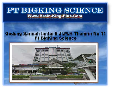 http://www.brain-king-plus.com/