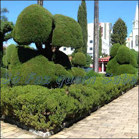 Topiárias da Praça Prefeito Mário Zucato em Monte Sião, Minas Gerais