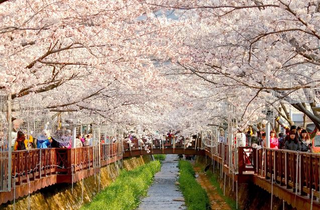 KUMPULAN GAMBAR PEMANDANGAN  INDAH DI  KOREA  Tempat Wisata 