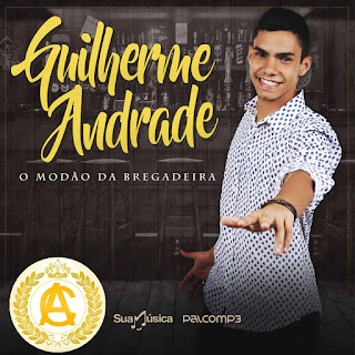 GUILHERME ANDRADE O MODÃO DA BREGADEIRA TOP TOP