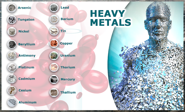 Metal in human bodies