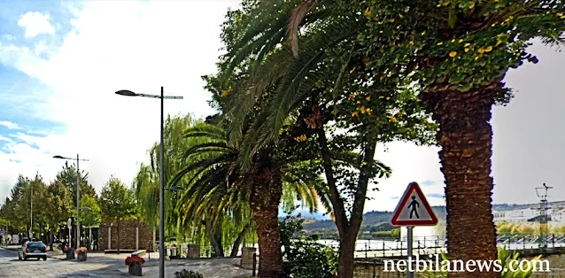 Rua Luciano Cordeiro, Mirandela (vista parcial)