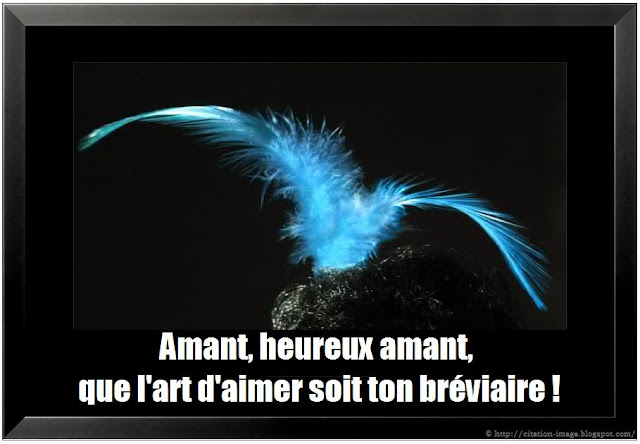 citation sur l'art en image