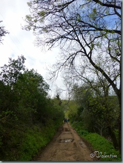 P1000937
