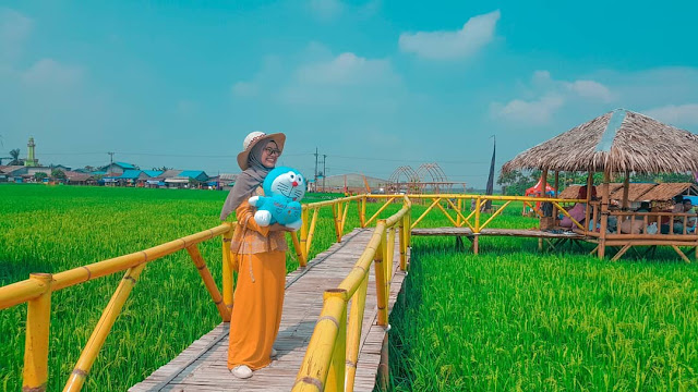 Tiket Masuk Wisata Sawah Pematang Johar