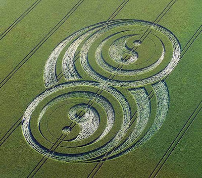 crop circle pictures