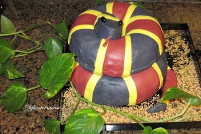 How to Decorate A Snake Cake