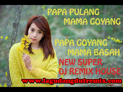 Download Lagu DJ Remix Papa Pulang Mama Goyang Mp3