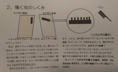 スズムシの鳴く仕組み