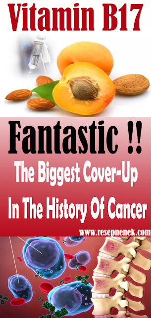 Vitamin B17: The Biggest Cover-Up In The History Of Cancer