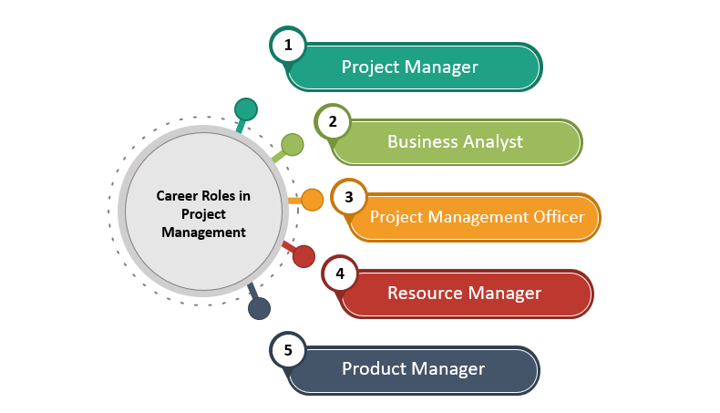 Career Roles in CAPM, Career Roles in Project Management