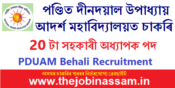 PDUAM Behali Recruitment 2023 – 20 Assistant Professor Vacancy