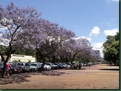 DSC05592