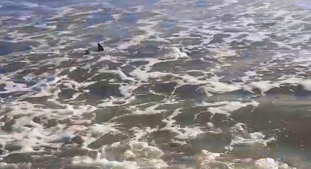 Secretarias de Turismo dizem que banho de mar deve ser evitado no litoral do Piauí