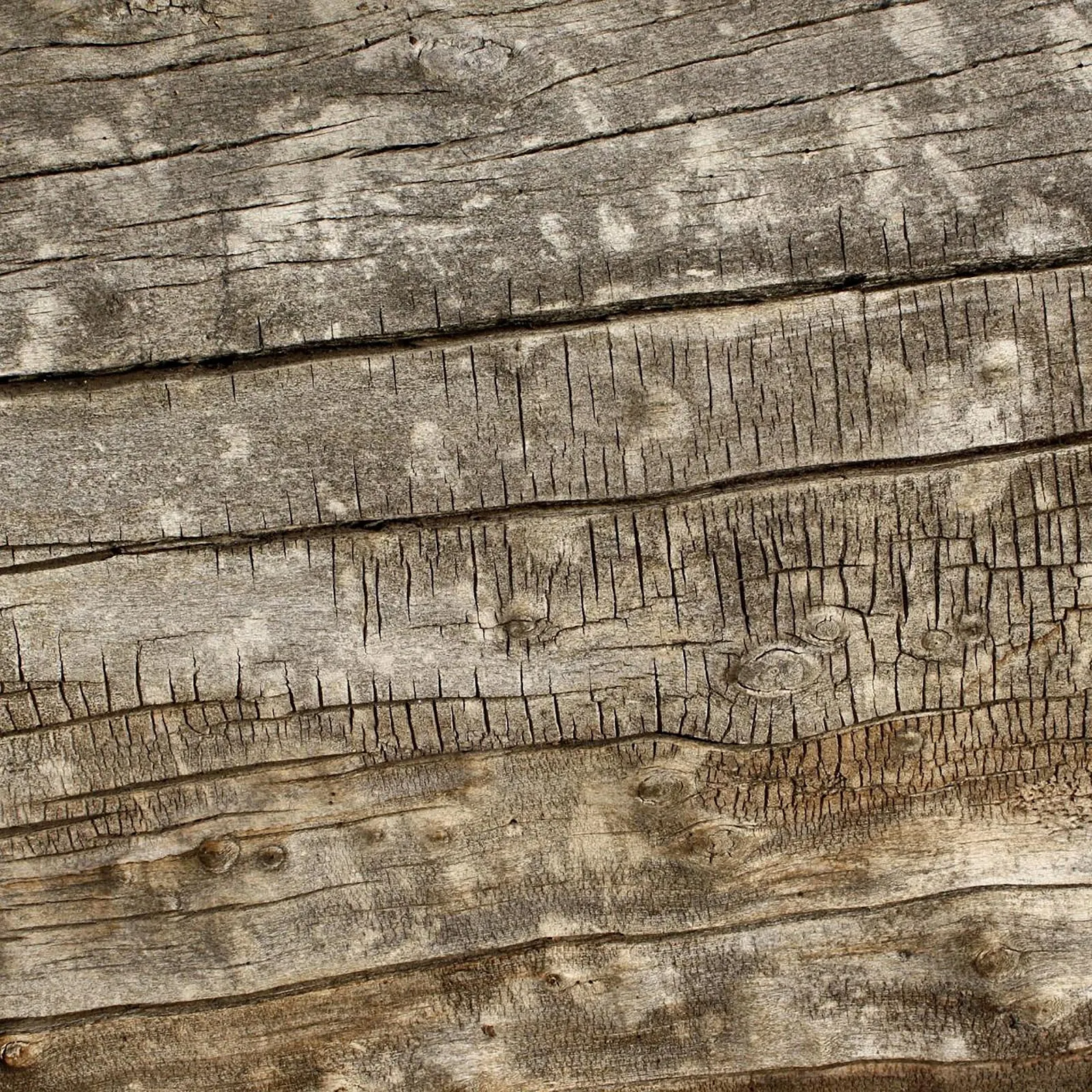 fondos con textura de madera para usar en menus de restaurante