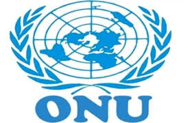 Offre d'emploi en Afrique : ONU recrute un Chargé de l’information en Afrique