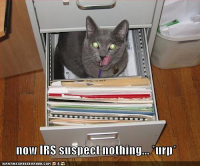 Admit it: you'd hire CPA Cat if it meant no audits.