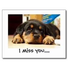 latest HD Miss You images photos wallpepar free download 13