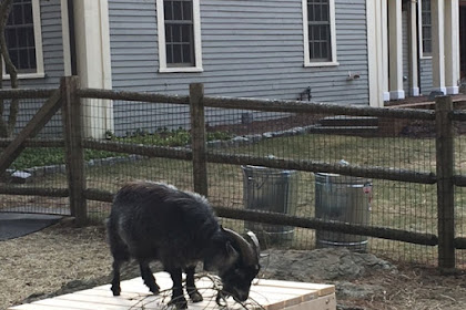 Building Unity Farm Sanctuary - First Week of February 2017