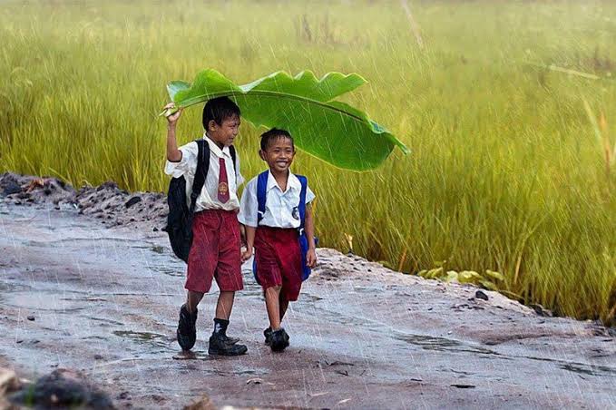 चित्र