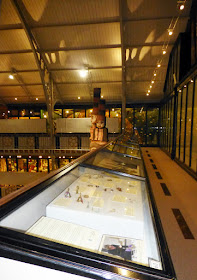View of the cases along the Pitt Rivers Museum's Upper Gallery