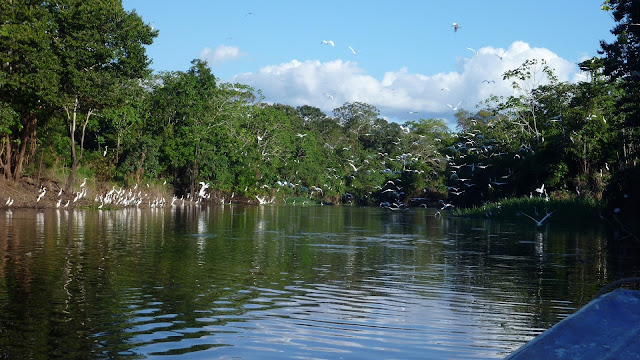 Amazon River of Iquitos