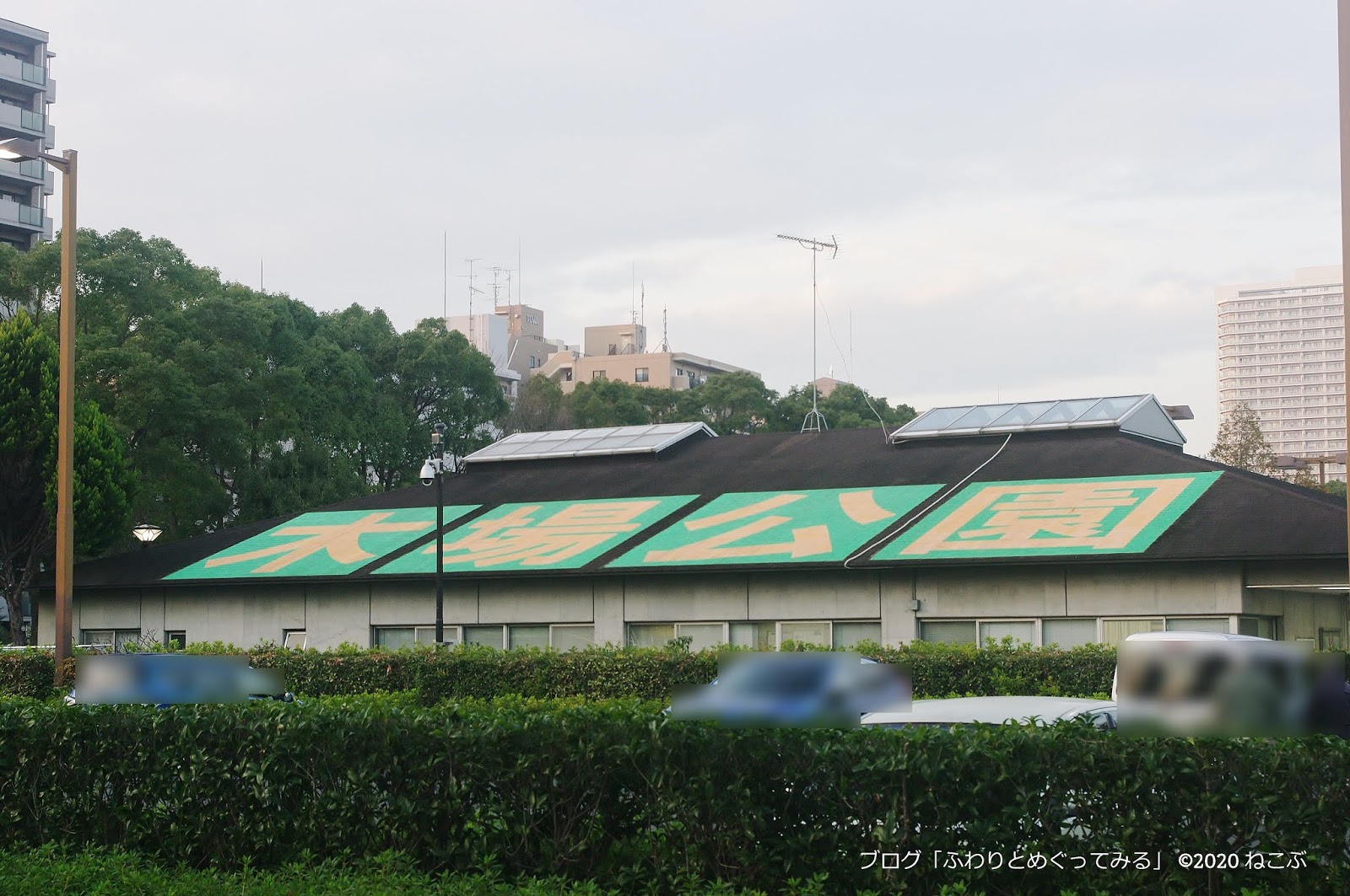 ふわりとめぐってみる 木場公園 江東区 おっきな橋 スカイツリービュー 植物園 隣は東京都現代美術館