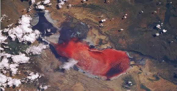 Natron - Danau Unik di Tanzania