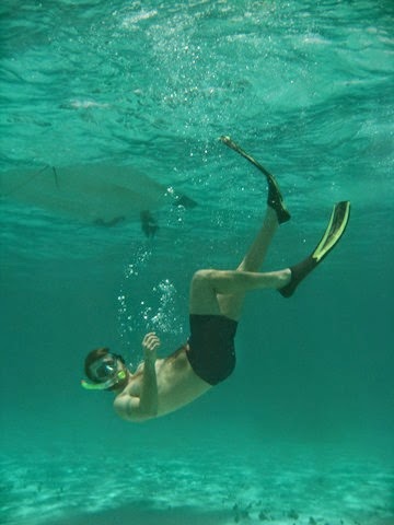 BVI (497)
