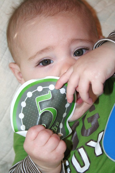 Nash 5 months old 073