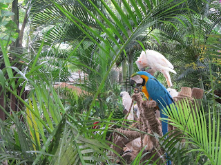 Jurong Bird Park, Singapore