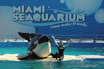 Miami-Seaquarium