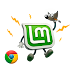 Como Instalar Software en Linux y Optimizar Linux Mint