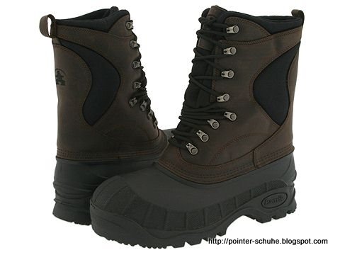 Pointer schuhe:schuhe-291528
