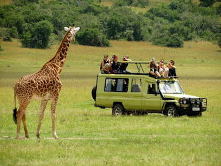 http://safariuganda-africa.com/tanzania-safari-holidays.html