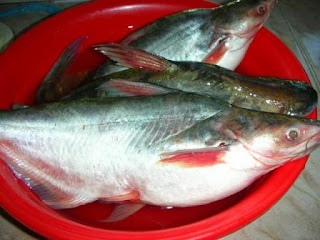 Gulai Tempoyak Ikan Patin - Happy Irfa