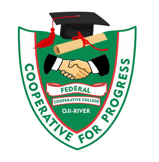 CSO Investigative Council Reacts to Alleged Poor Construction of Abia North Road 