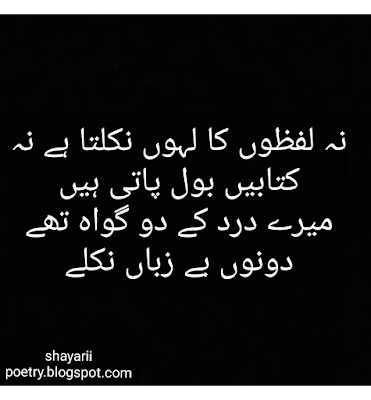 sad shayari | urdu hindi shayari collection