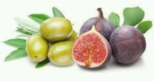 Fig and Olive