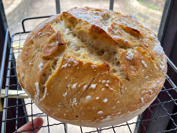 Baking Fundamentals: Bread Making Tips for Beginners