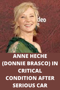 ANNE HECHE (DONNIE BRASCO) IN CRITICAL CONDITION AFTER SERIOUS CAR ACCIDENT ANNE HECHE (DONNIE BRASCO) IN CRITICAL CONDITION AFTER SERIOUS CAR ACCIDENT